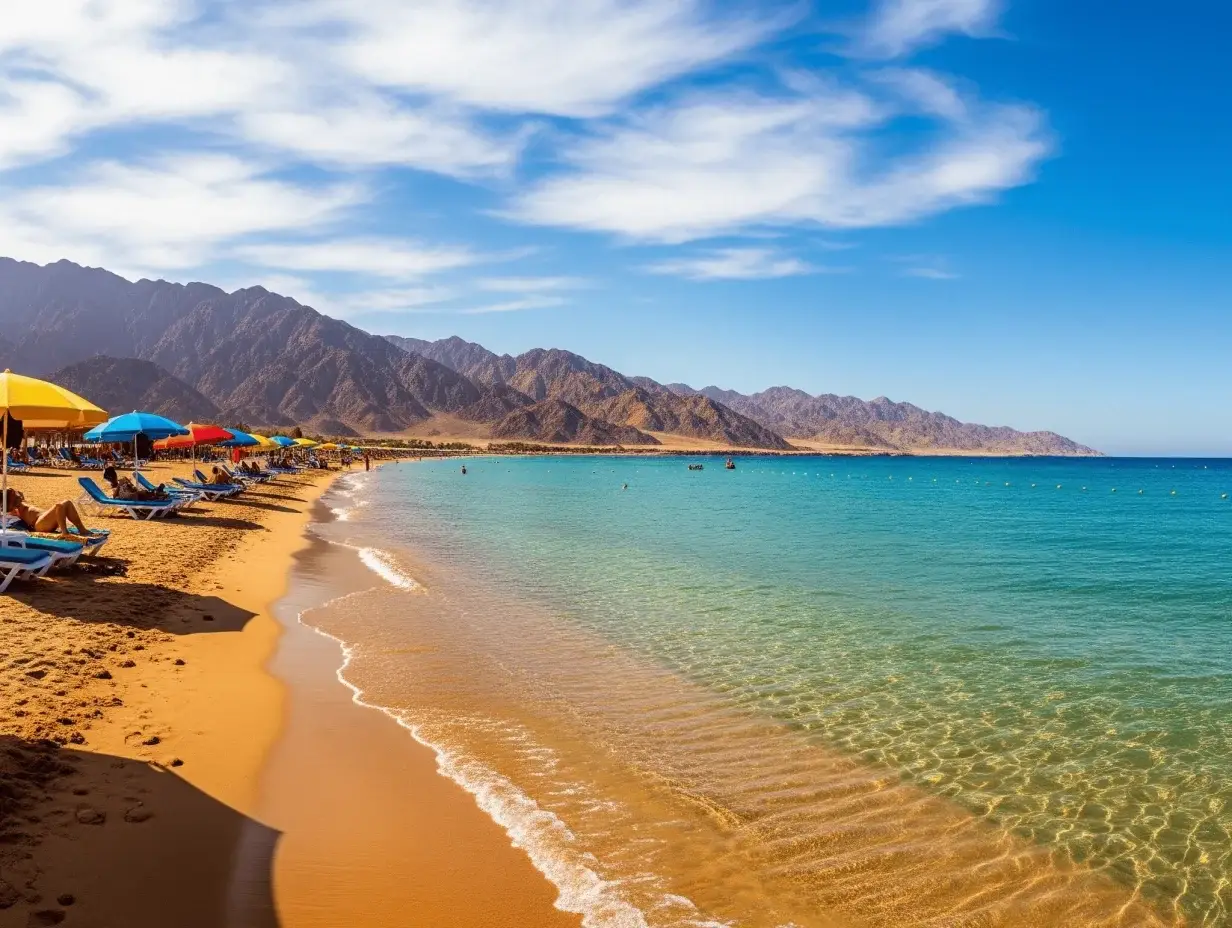 Dolphins in Egypt 2026: Best Places to Swim with Dolphins & Red Sea Coral Reef Guide (Reviews)