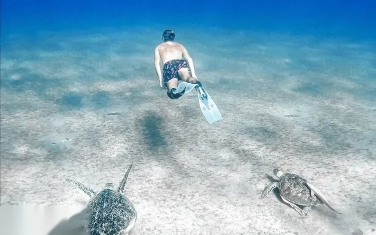 Abu Dabbab Sea Turtle Snorkeling Trip in Marsa Alam — view 4