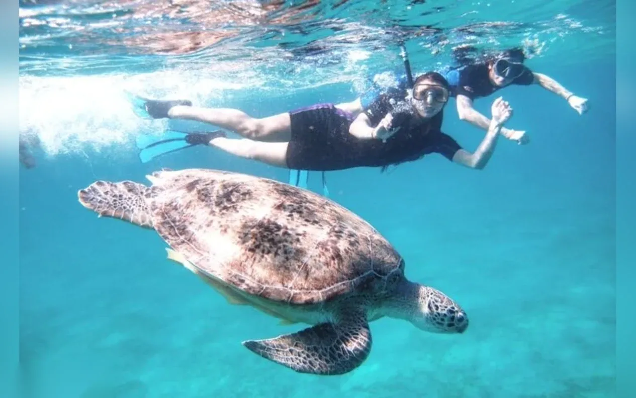 Abu Dabbab Sea Turtle Snorkeling Trip in Marsa Alam — view 5