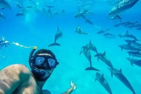 Beste Delfin-Familienaktivitäten in Hurghada