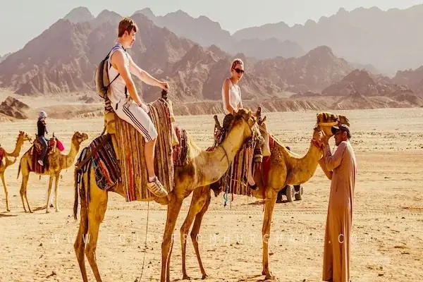 Buggy Safari Tour in Hurghada — view 5