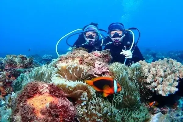 Certified Diving Trip — Snorkeling & Diving in Hurghada