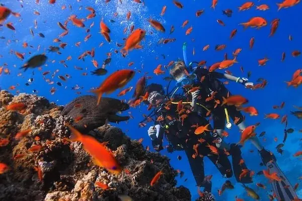 Certified Diving Trip in Hurghada — view 3