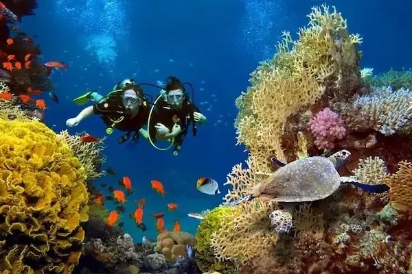 Certified Diving Trip in Hurghada — view 4