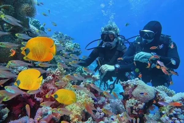 Certified Diving Trip in Hurghada — view 5