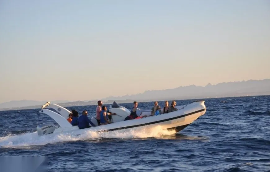 Dolphin House Speedboat Tour in Hurghada — view 4