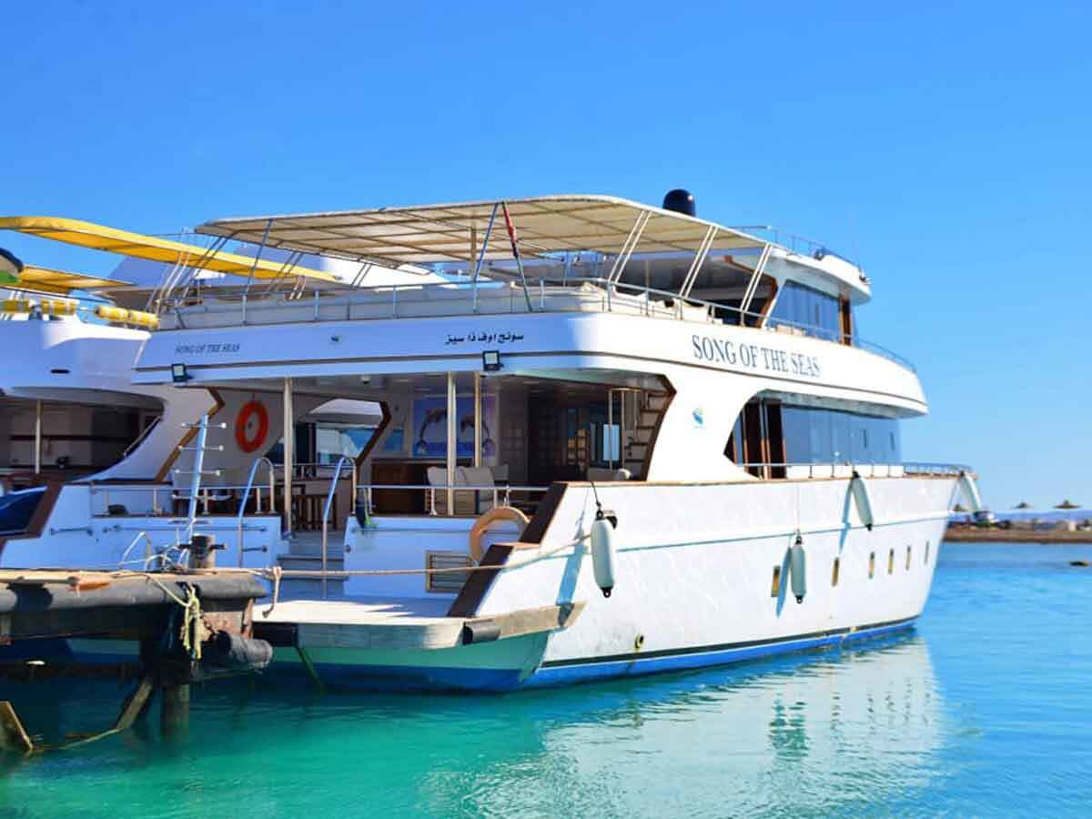Dolphin House Gruppen-Yachtcharter Marsa Alam in Marsa Alam