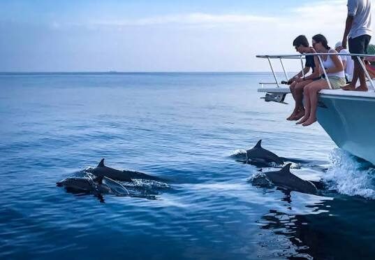 Dolphin House Gruppen-Yachtcharter Marsa Alam in Marsa Alam — view 2