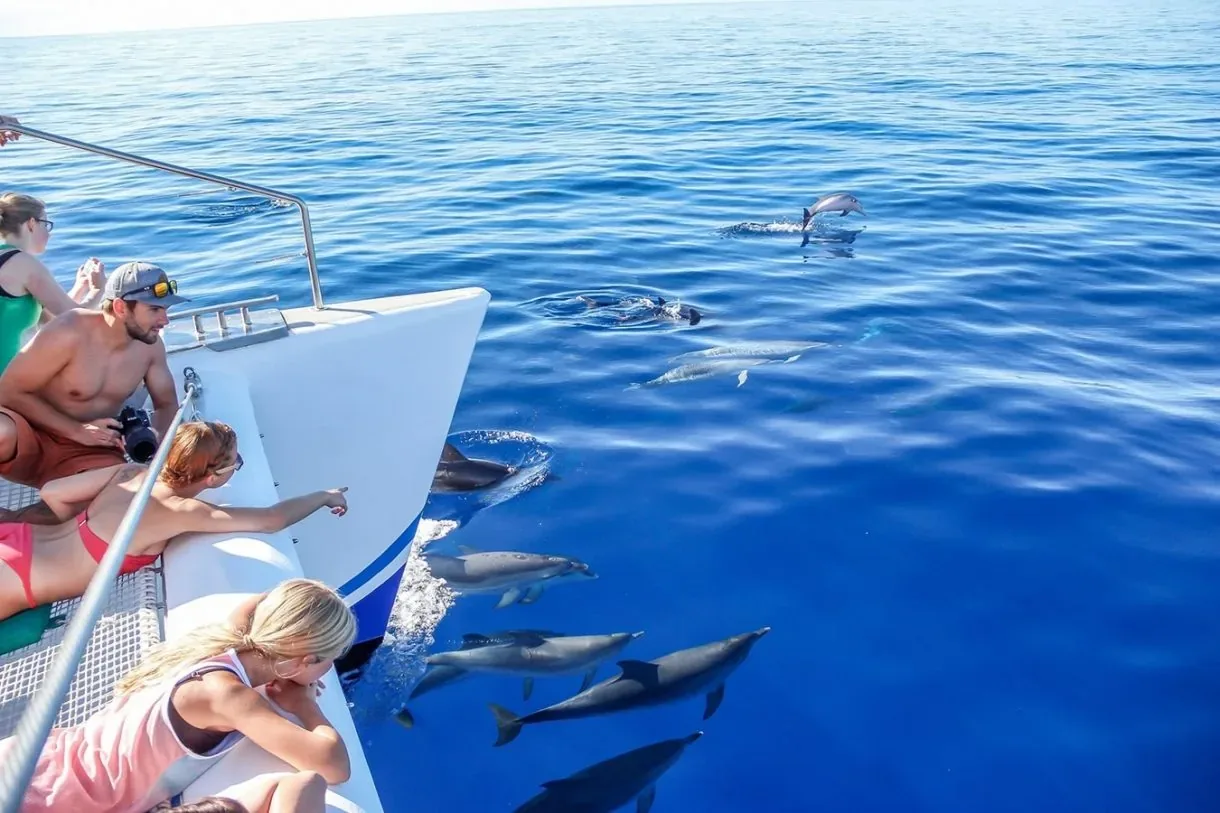 Dolphin House Gruppen-Yachtcharter Marsa Alam in Marsa Alam — view 3