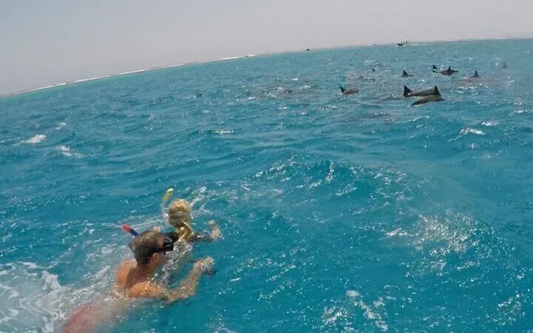 Dolphin House Gruppen-Yachtcharter Marsa Alam in Marsa Alam — view 5