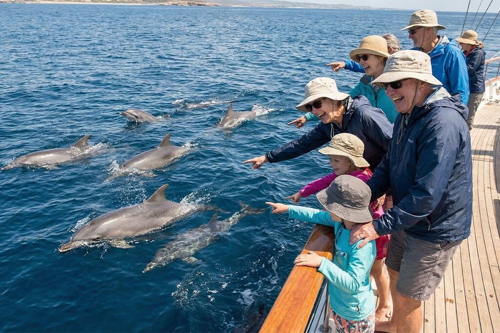 Dolphin Watching Boat Trip in Hurghada — view 2