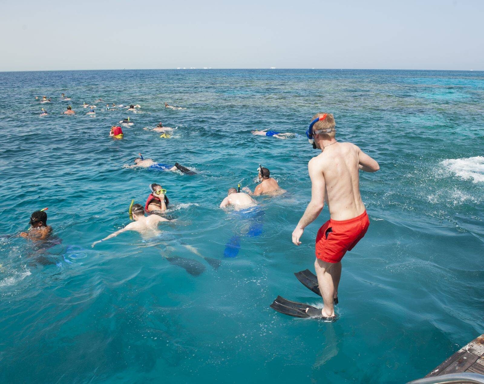 Elphinstone-Riff Schnorcheltrip in Marsa Alam — view 2