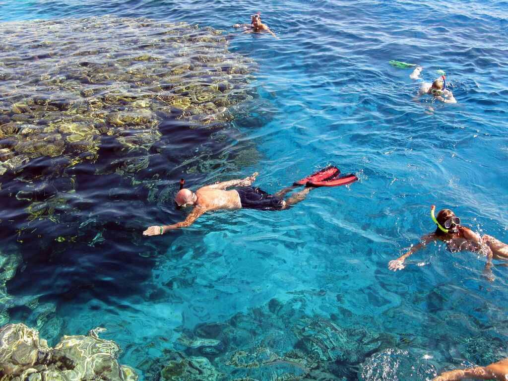Elphinstone-Riff Schnorcheltrip in Marsa Alam — view 3