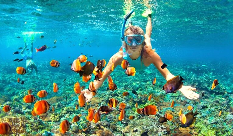 Elphinstone-Riff Schnorcheltrip in Marsa Alam — view 5