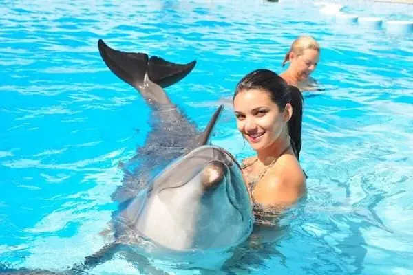 Spectacle de Dauphins en Famille in Hurghada — view 5