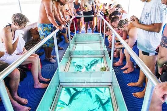 Familien-Glasbodenboot-Ausflug in Hurghada — view 5