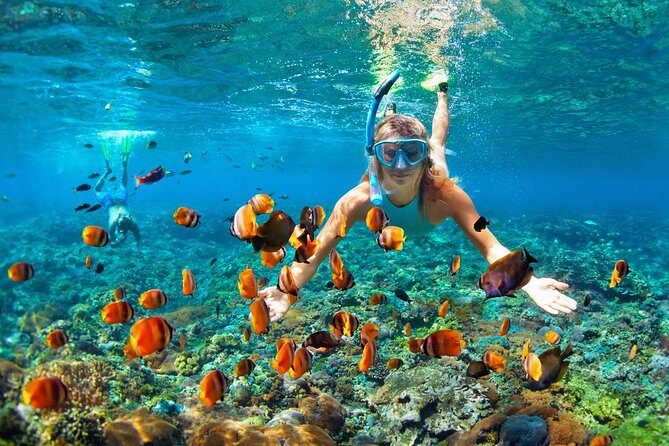 Excursion Snorkeling en Famille in Hurghada — view 2