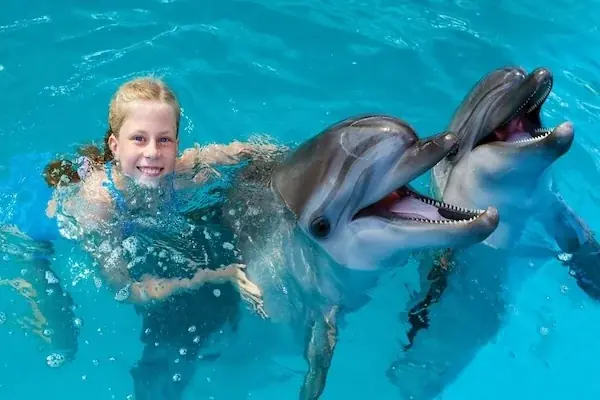 Nage avec les Dauphins en Famille in Hurghada — view 2