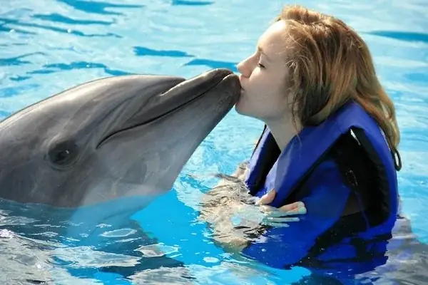 Nage avec les Dauphins en Famille in Hurghada — view 3