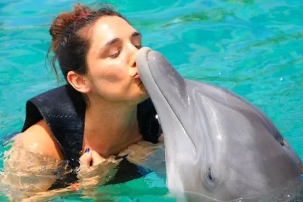Nage avec les Dauphins en Famille in Hurghada — view 4