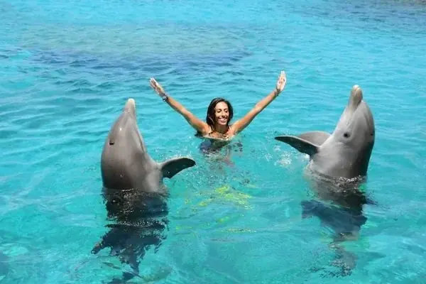 Nage avec les Dauphins en Famille in Hurghada — view 5