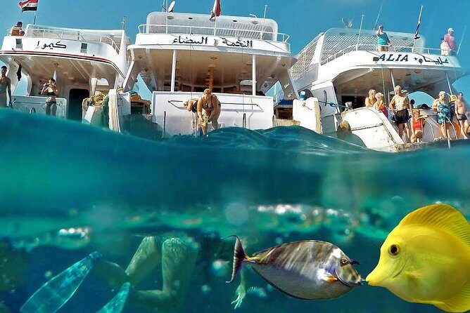 Giftun Island Snorkeling Excursion in Hurghada — view 3
