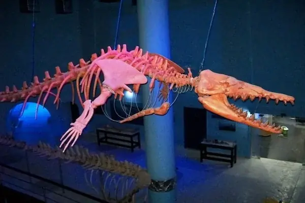 Hurghada Grand Aquarium Tour in Hurghada