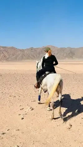 Desert & Sea Horse Riding — Desert Safari in Hurghada