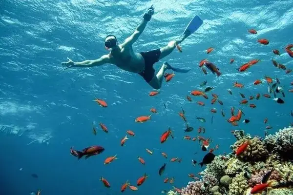 Luxury Eden Island Boat Trip in Hurghada — view 4