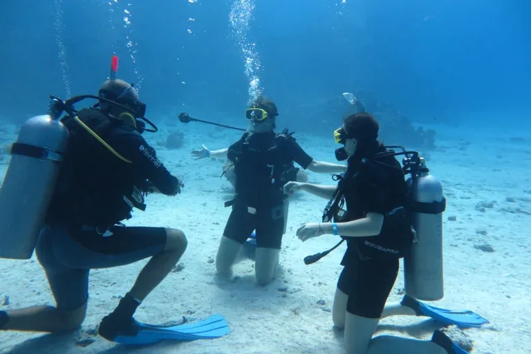 PADI Dive Master in Hurghada — view 4