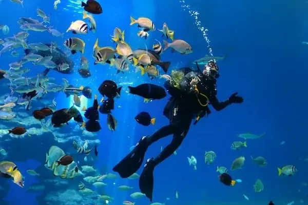 PADI Tauchausflug in Hurghada — view 4