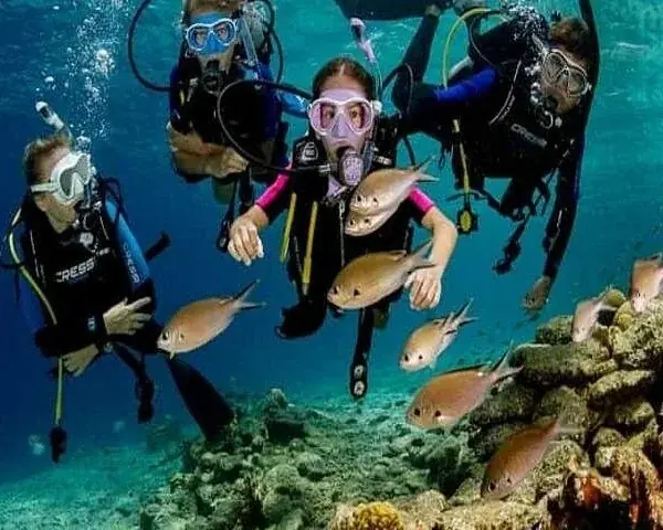 PADI Junior Open Water in Hurghada