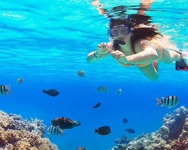 PADI Nitrox Diver in Hurghada — view 2