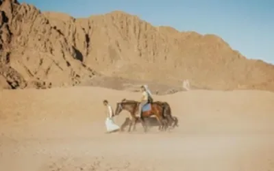 Private Wüstensafari in Hurghada — view 2