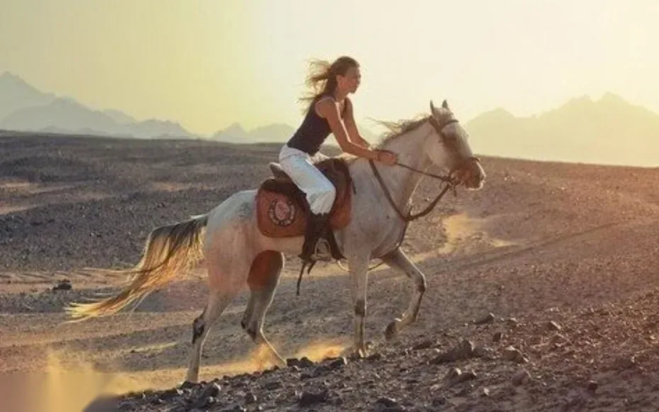 Private Wüstensafari in Hurghada — view 5