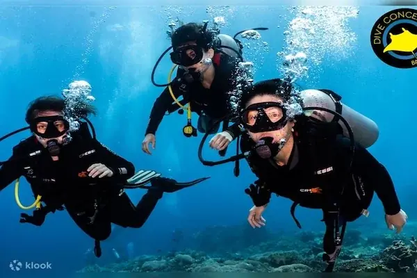 Excursion de Plongée Privée in Hurghada — view 3