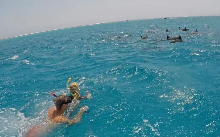 Private Dolphin House Yacht-Charter in Marsa Alam — view 2