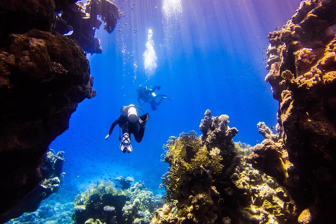 Excursion Privée avec les Dauphins in Hurghada — view 4