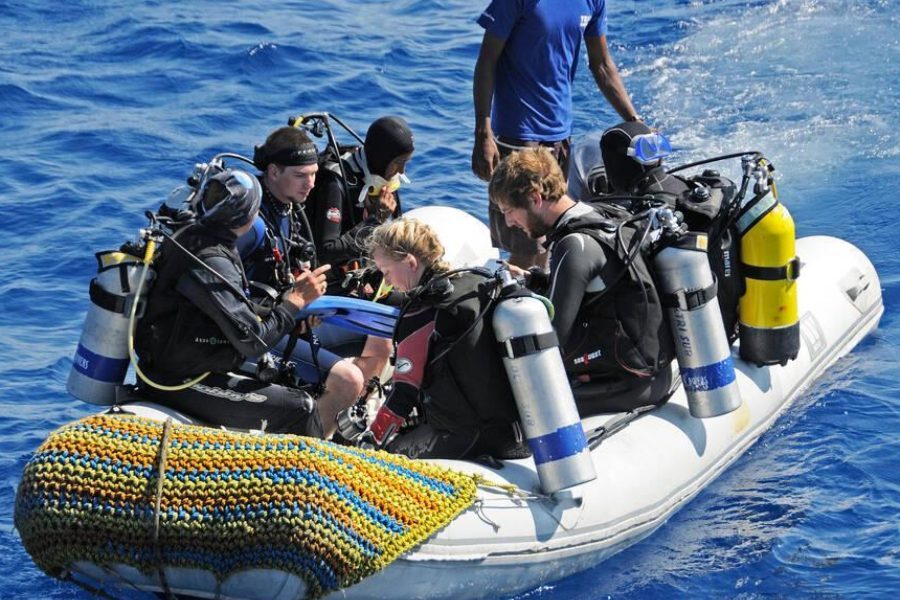 Private Elphinstone Reef Boat Charter in Marsa Alam — view 3