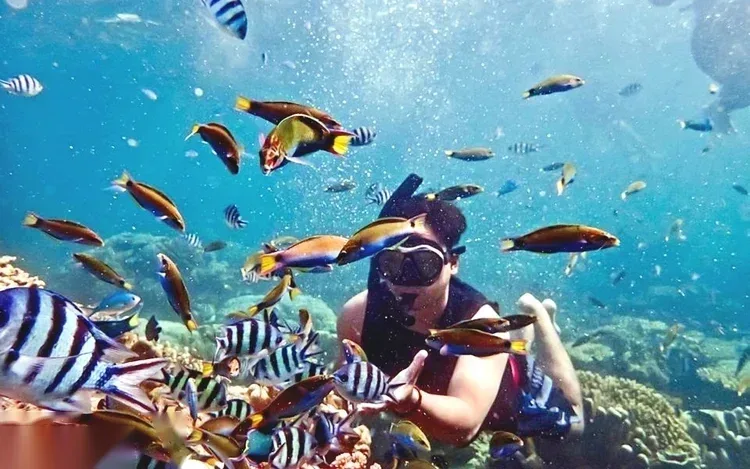 Private Schnorchel-Speedboot-Tour in Hurghada