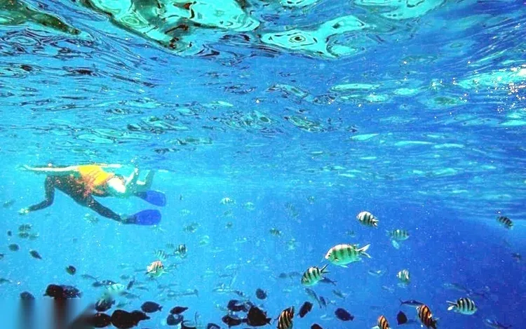 Private Schnorchel-Speedboot-Tour in Hurghada — view 3
