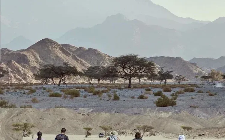 Private Wadi El Gemal National Park Safari in Marsa Alam — view 3