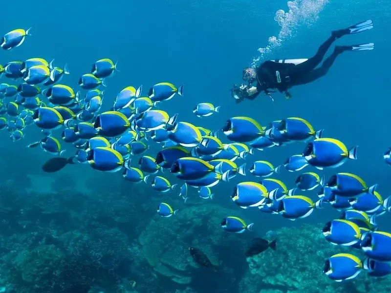 Aventure de Plongée en Mer Rouge in Hurghada — view 5