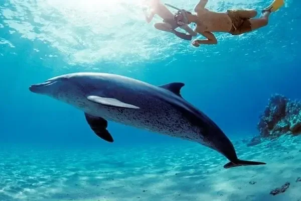 VIP Boat Trip in Hurghada — view 4