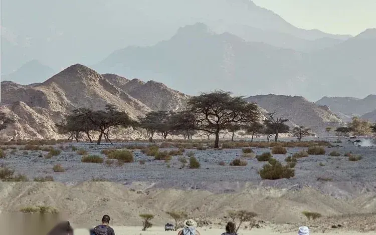 Wadi El Gemal National Park Safari — Marsa Alam, rated 4.9 on TripAdvisor